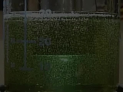 Processore di cavitazione sonochimica ad alta frequenza